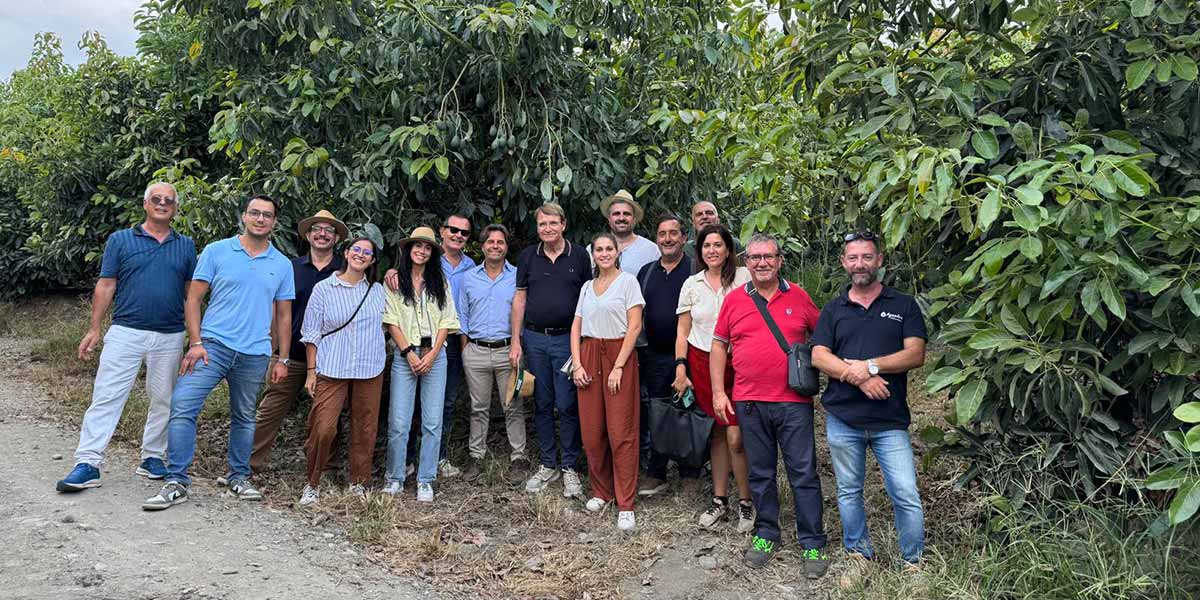 Sicilia protagonista a Macfrut 2026